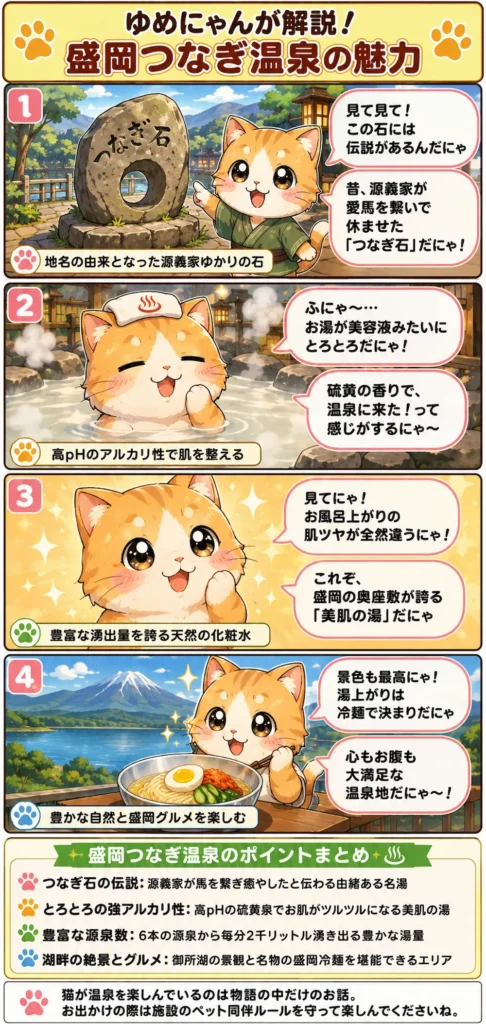 盛岡つなぎ温泉の魅力を詰め込んだ4コマ漫画。伝説の石や美肌の湯、御所湖の絶景を猫が紹介しています。