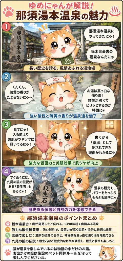 那須湯本温泉の魅力を詰め込んだ4コマ漫画。猫のゆめにゃんが、歴史、泉質、美肌、伝説を楽しく紹介。