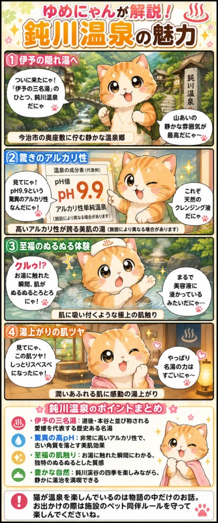 鈍川温泉の魅力を詰め込んだ4コマ漫画。猫のゆめにゃんがpH9.9のぬるとろお湯と肌ツヤに感動する様子。