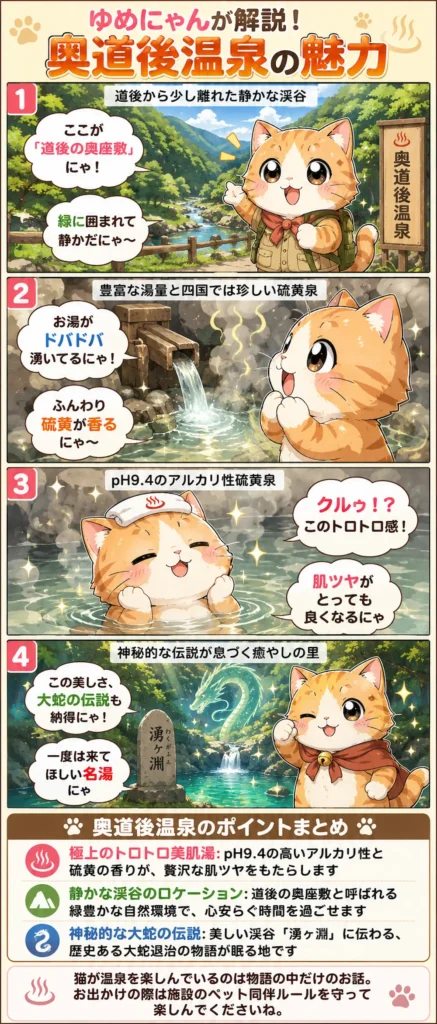 奥道後温泉の魅力を詰め込んだ4コマ漫画。猫のゆめにゃんが豊かな自然、トロトロの湯、伝説を紹介。